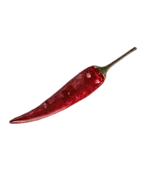 chilli